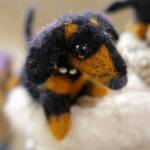 "Puppy Love" by Marilyn Hunter - The Love of your Best Friend - 2022 Alice Springs Beanie Festival