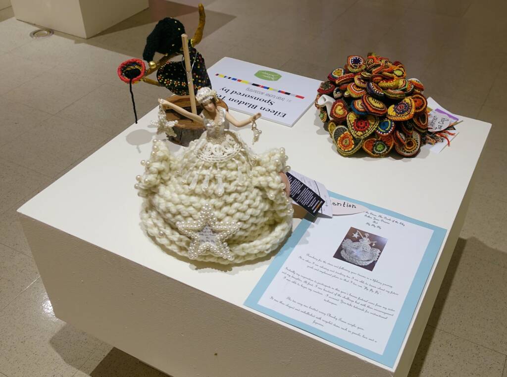 Special Mention Eileen Bladon Teacosy category - 2022 Alice Springs Beanie Festival