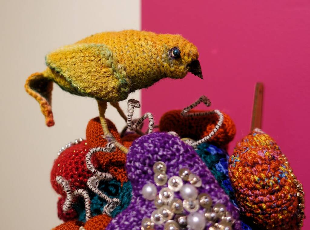 Festival Committee Acquisition Award - 2022 Alice Springs Beanie Festival