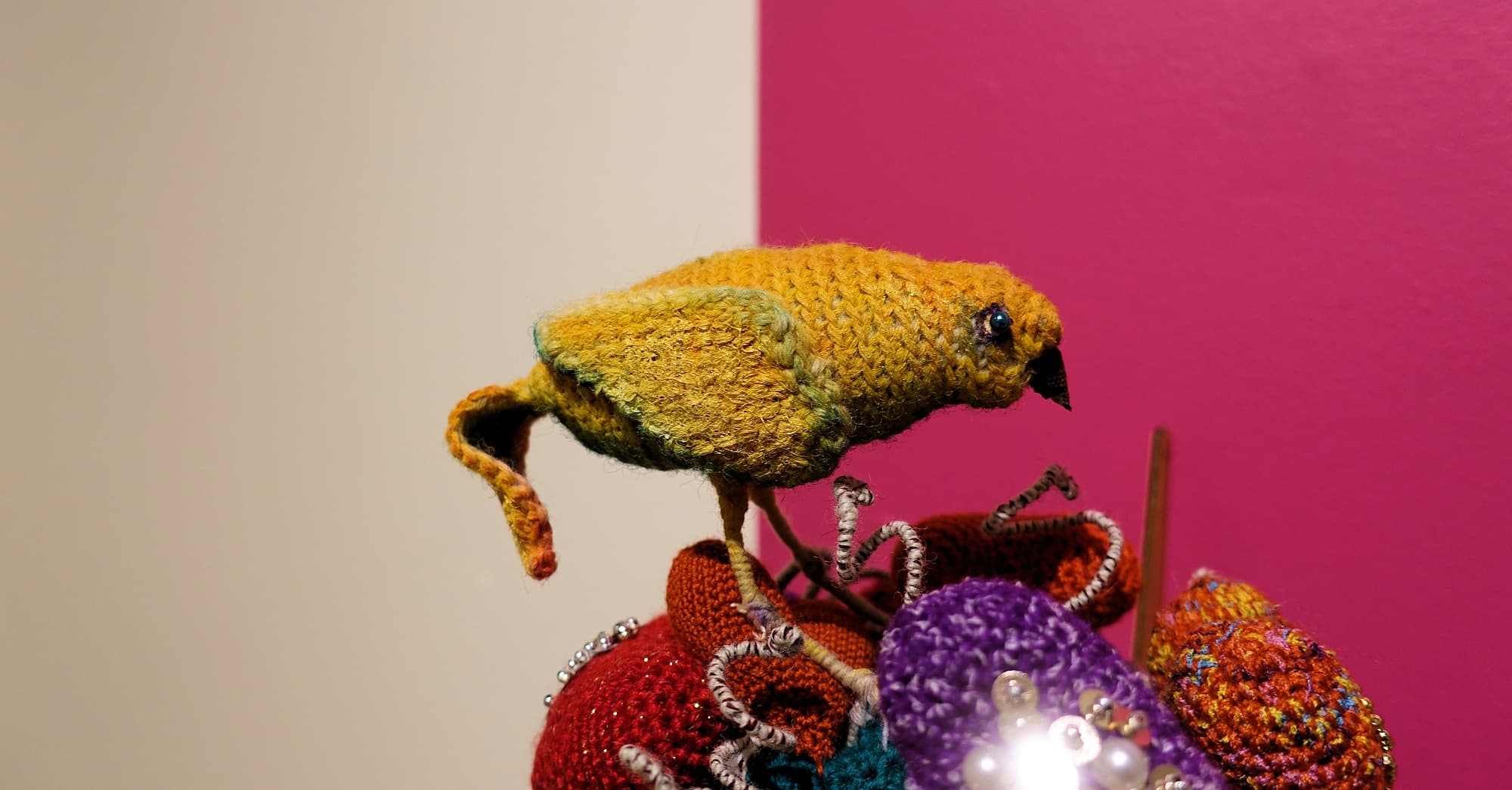 Festival Committee Acquisition Award - 2022 Alice Springs Beanie Festival