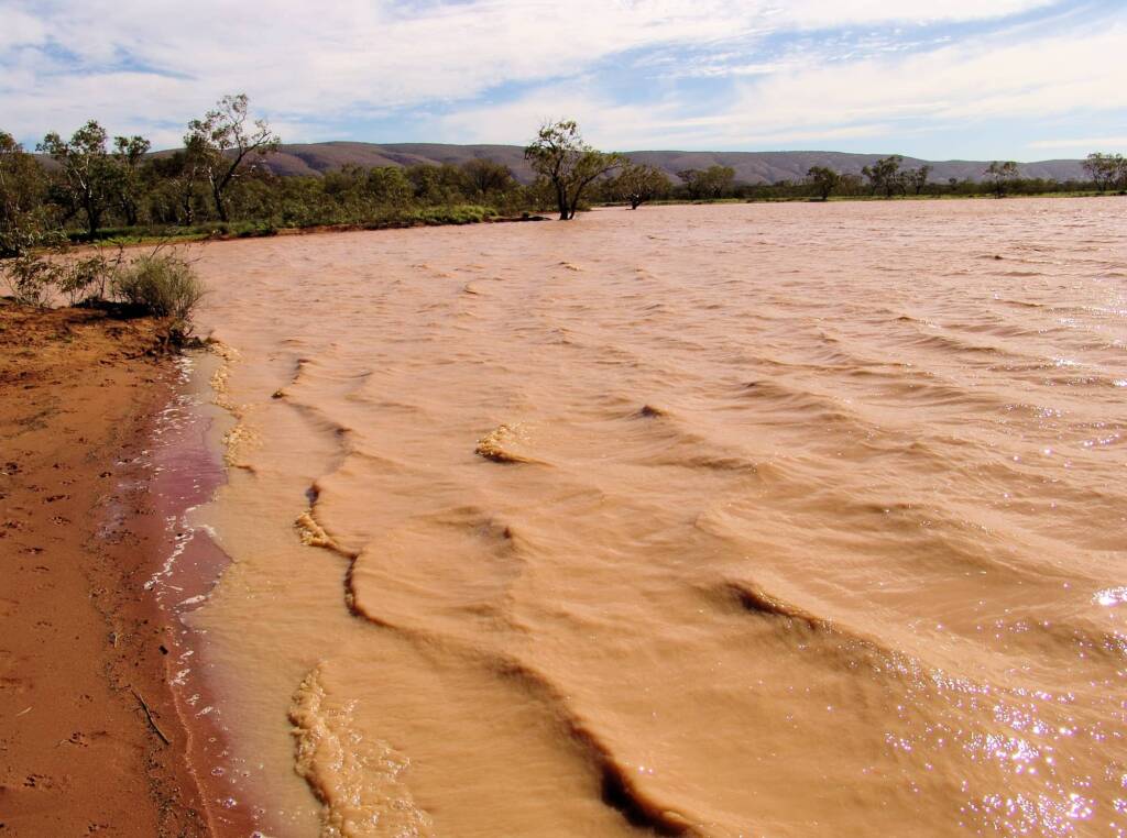 Windy day across the Ilparpa Claypans, Central Australia