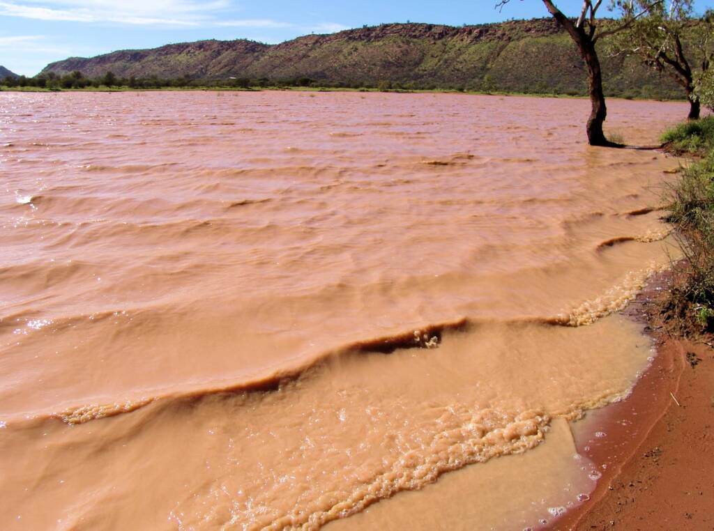 Windy day across the Ilparpa Claypans, Central Australia