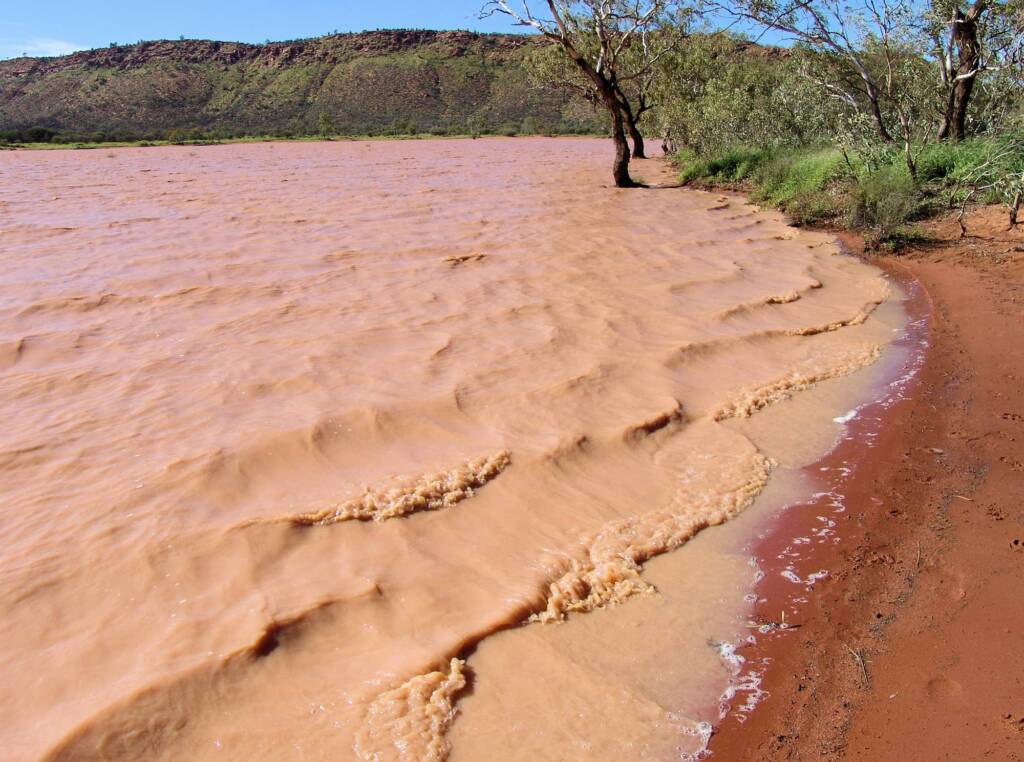 Windy day across the Ilparpa Claypans, Central Australia