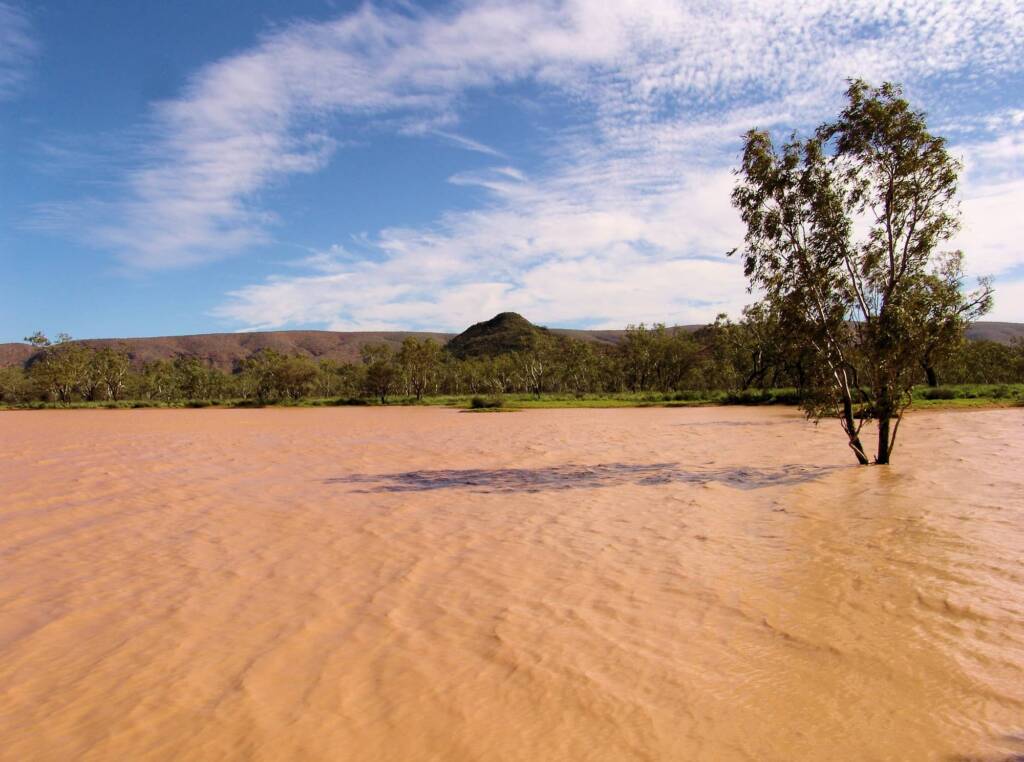 Windy day across the Ilparpa Claypans, Central Australia