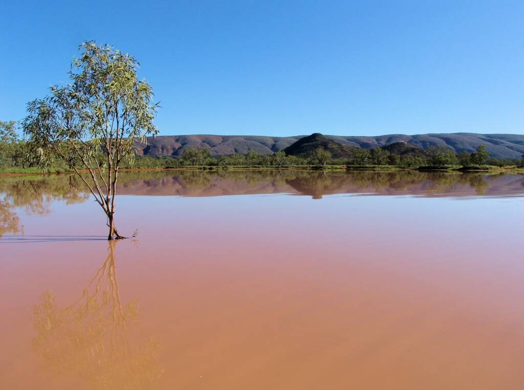 Ilparpa Claypans, Central Australia