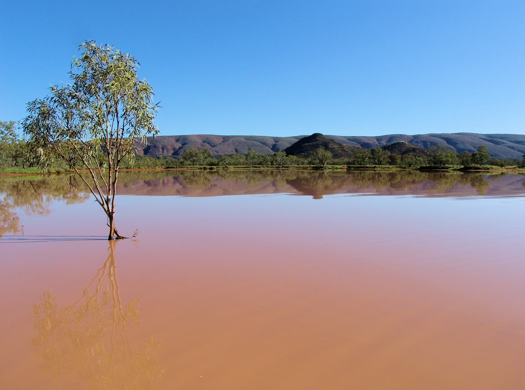 Ilparpa Claypans, Central Australia