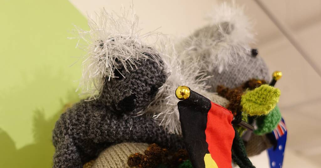 Stitched Up category - 2022 Alice Springs Beanie Festival