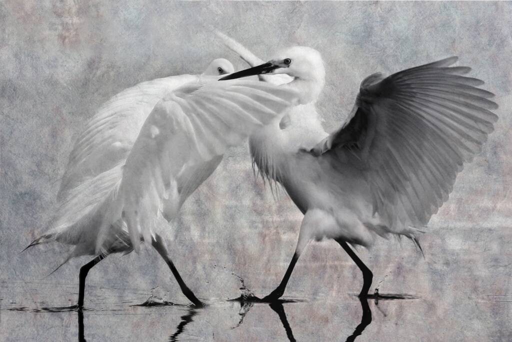 RIP Little Dave - "Entwined" - Little Dave & Deb © David Rennie