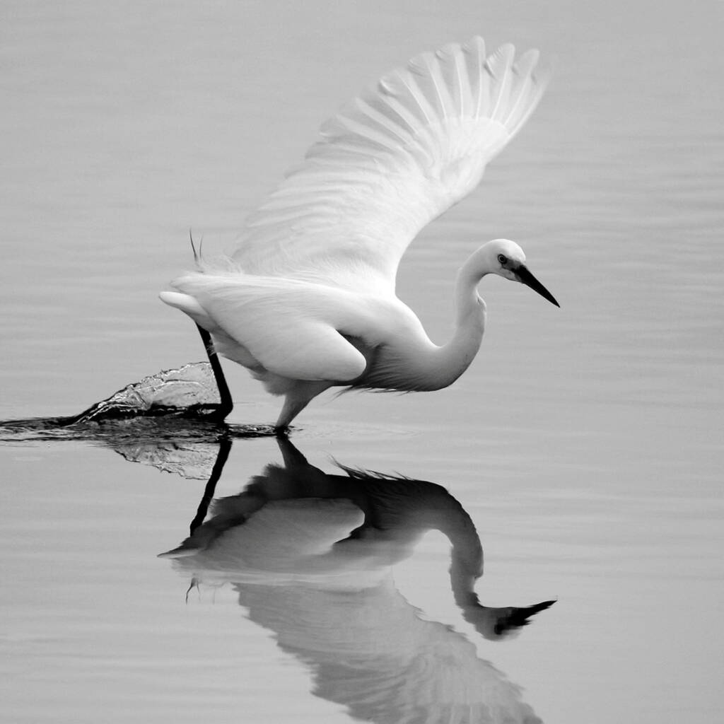 Little Dave's Story (Part 6) © David Rennie