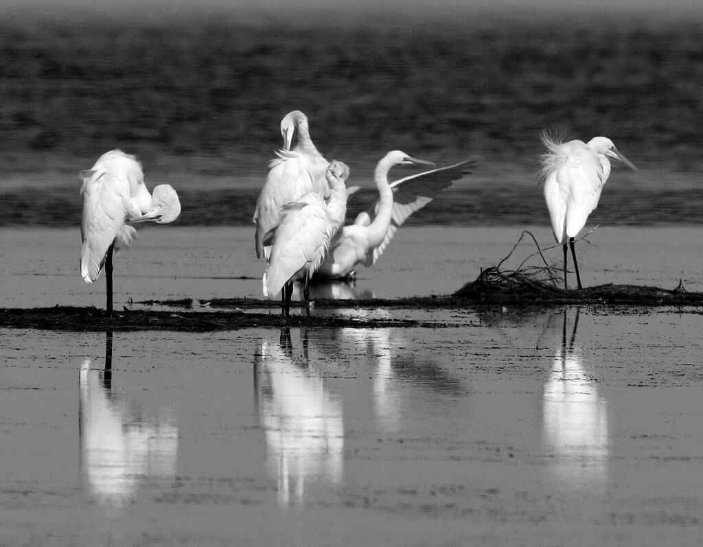 Little Dave's Story (Part 6) © David Rennie