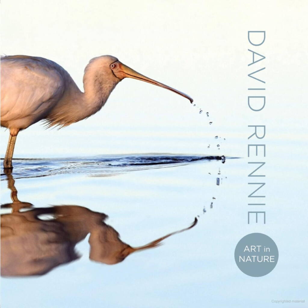 Little Dave's Story (Part 7) © David Rennie