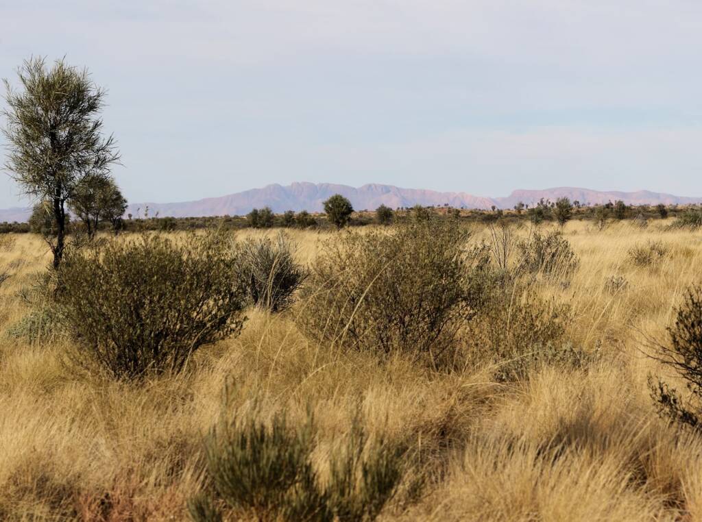 Newhaven Wildlife Sanctuary NT © Dorothy Latimer