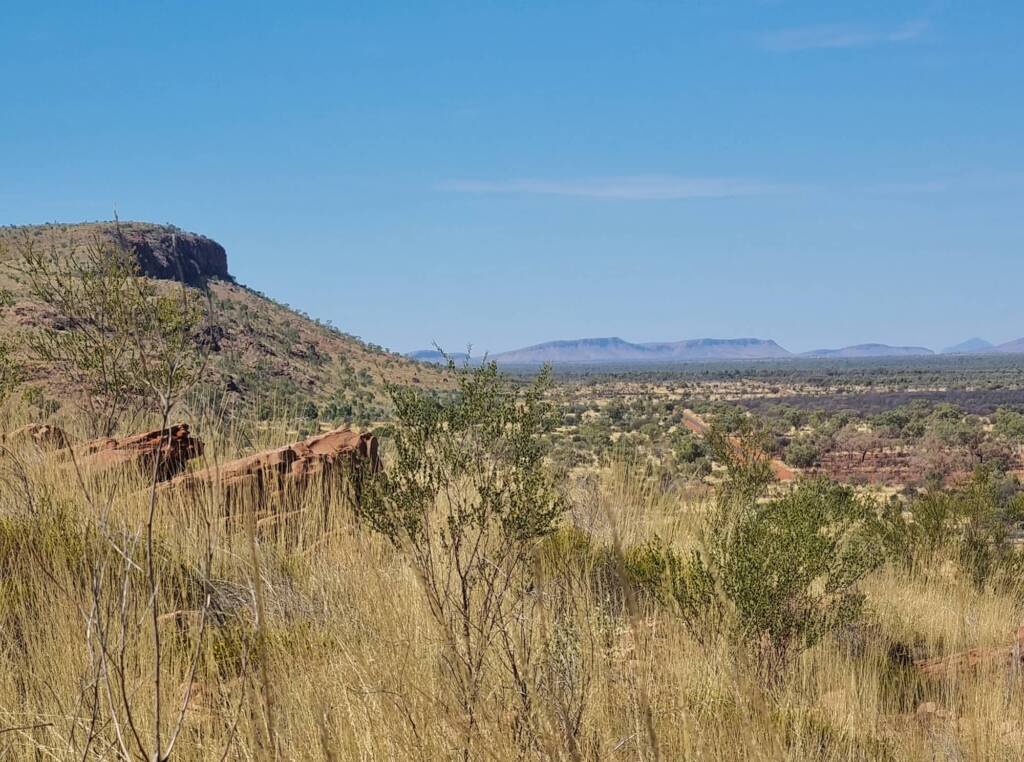 Newhaven Wildlife Sanctuary NT © Dorothy Latimer