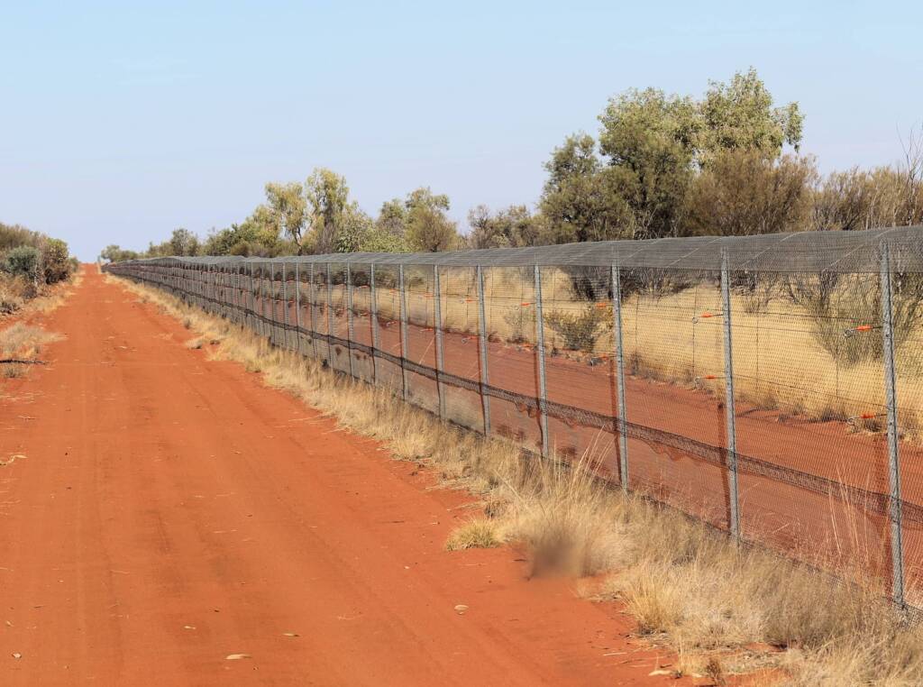 Feral proof fence at Newhaven Wildlife Sanctuary © Dorothy Latimer