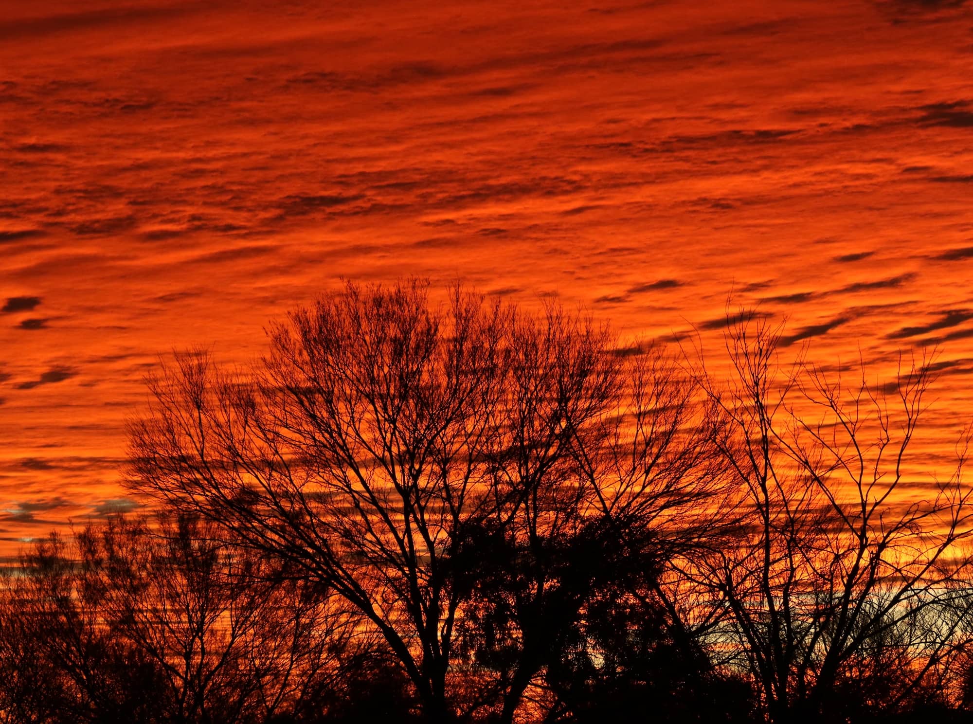 Sunset over Newhaven Wildlife Sanctuary © Dorothy Latimer