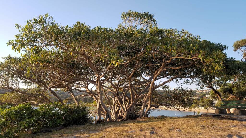 Rocky Point, Balmoral, NSW