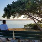 View from Rocky Point Lookout across North Harbour, Balmoral, NSW