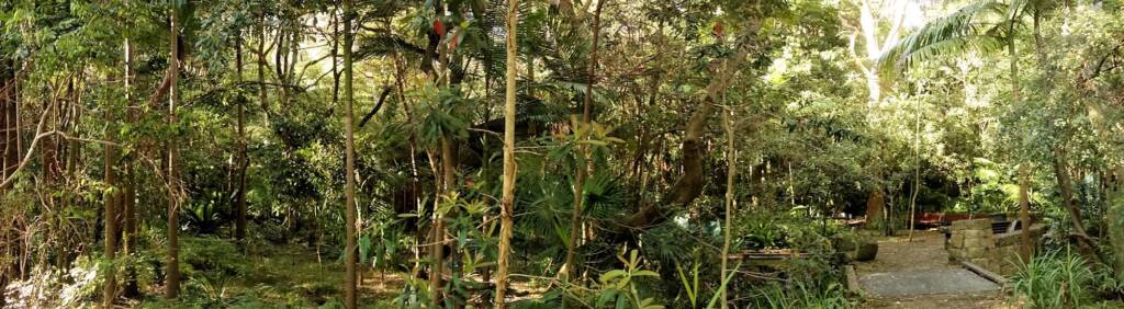 Stony Range Regional Botanic Garden, Dee Why NSW