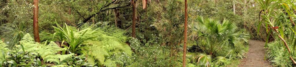Stony Range Regional Botanic Garden, Dee Why NSW