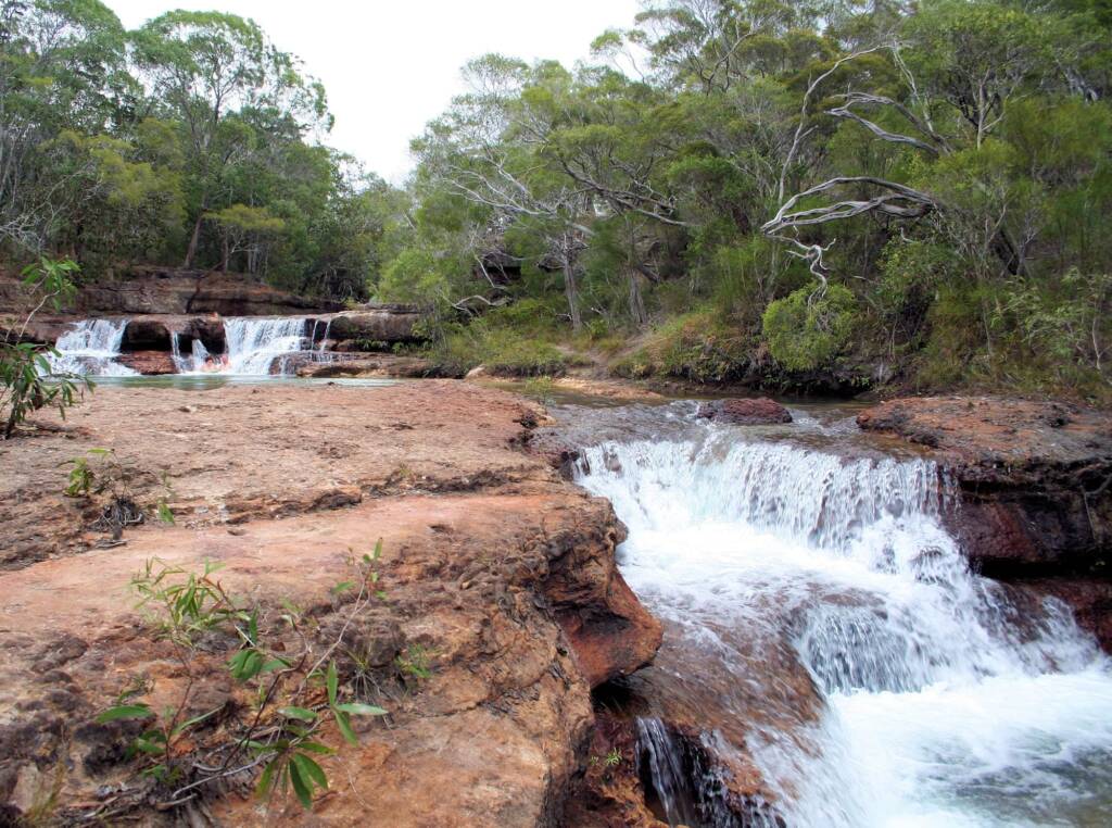 Fruit Bat and Eliot Falls, Cape York QLD @ Alan Holden