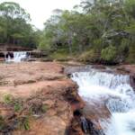 Fruit Bat and Eliot Falls, Cape York QLD @ Alan Holden