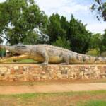 "Savannah King" Krys the Crocodile, Normanton QLD @ Alan Holden