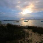 Tin Can Bay (Gympie Area) QLD © Dorothy Latimer