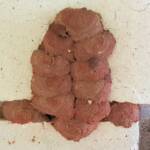 Sealed 12th cell of the Orange-tailed Potter Wasp (Delta latreillei) mud nest, Alice Springs NT