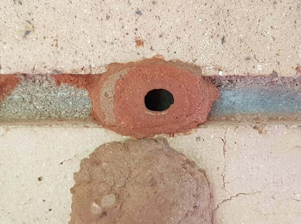 14th cell of the Delta latreillei mud nest, Alice Springs NT