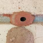 14th cell of the Delta latreillei mud nest, Alice Springs NT