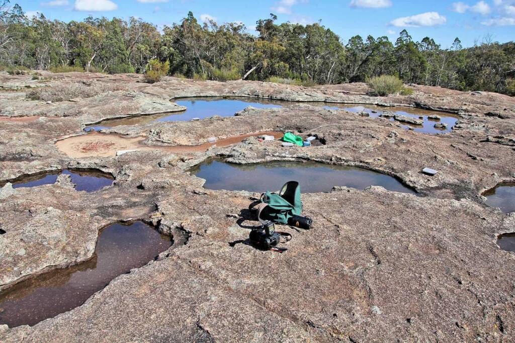 Gnammas in the Granite Belt QLD © Marc Newman