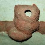 5th cell of the Orange-tailed Potter Wasp (Delta latreillei) mud nest - awaiting to be filled with prey, Alice Springs NT