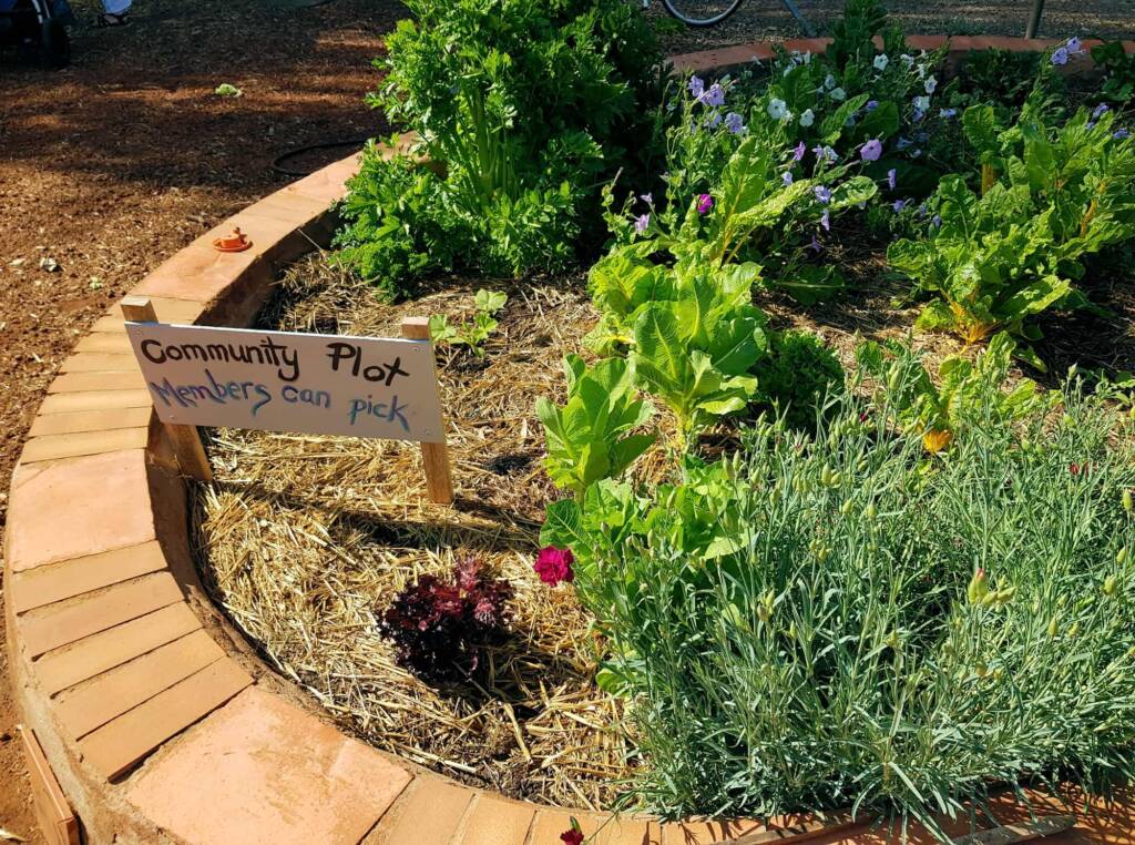 Alice Springs Community Garden