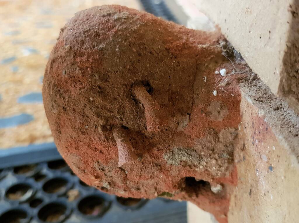 Mud Wasp (Delta latreillei) being used by other wasp species, Alice Springs, NT
