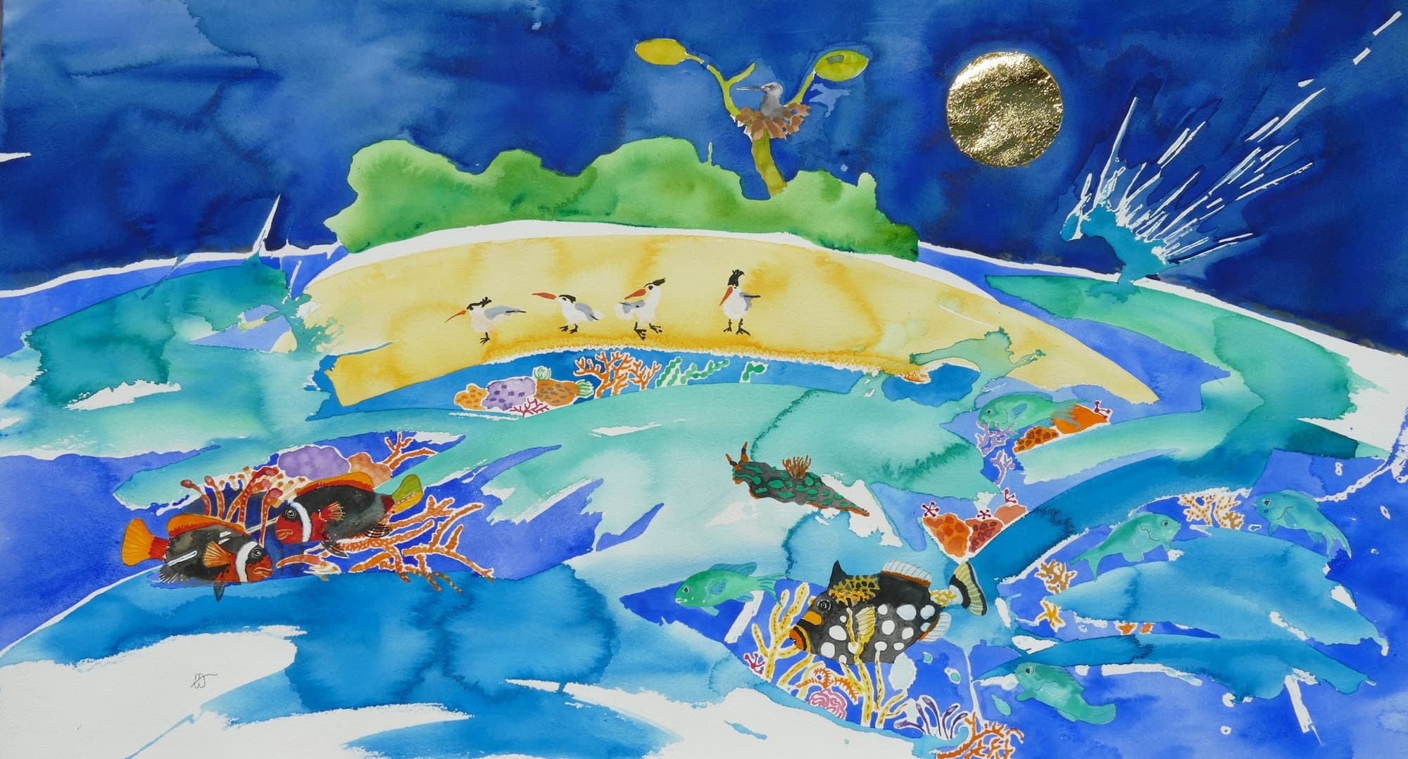 Artist Margaret Worthington - Heron Island QLD