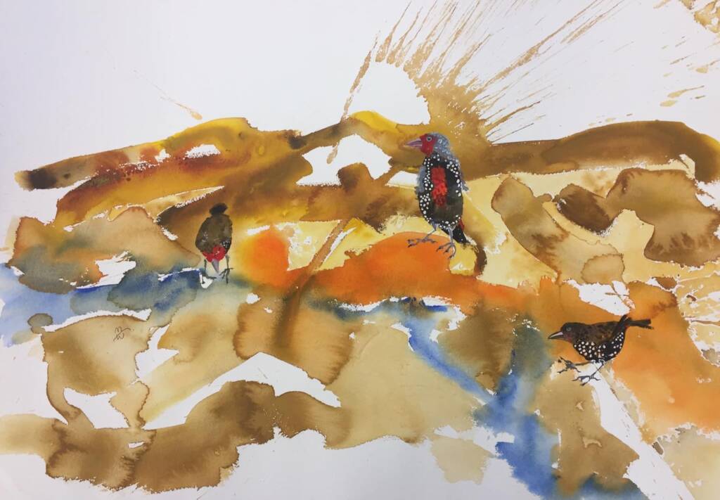 Artist Margaret Worthington - Painted Finch (Emblema pictum) in Alice Springs