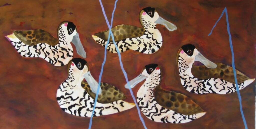 Artist Margaret Worthington - Pink-eared Duck (Malacorhynchus membranaceus)