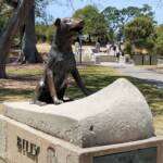 Billy, 1959-1978 memorial, Balmoral Beach, Mosman NSW