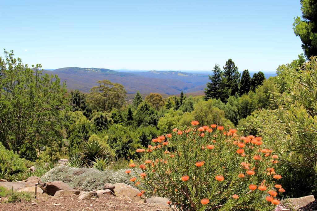 Blue Mountains Botanic Garden, NSW