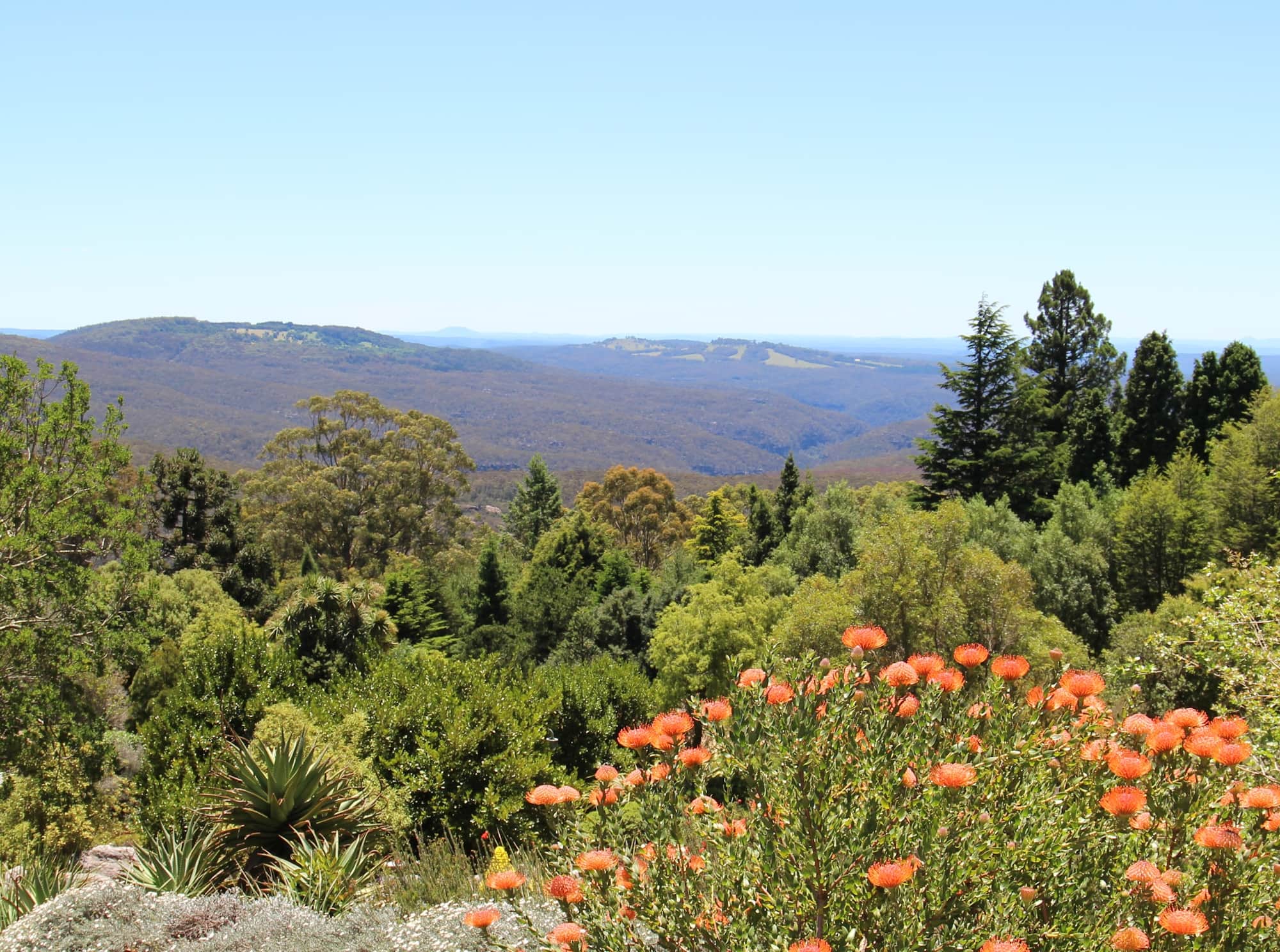 Blue Mountains Botanic Garden, NSW