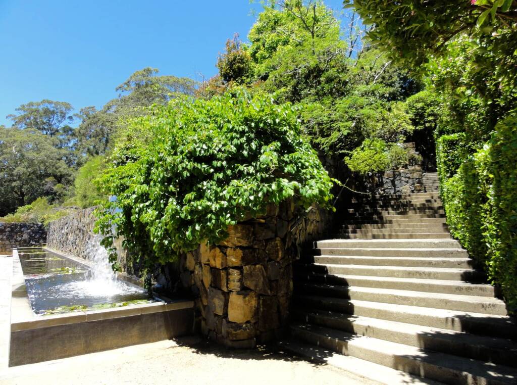Blue Mountains Botanic Garden, NSW