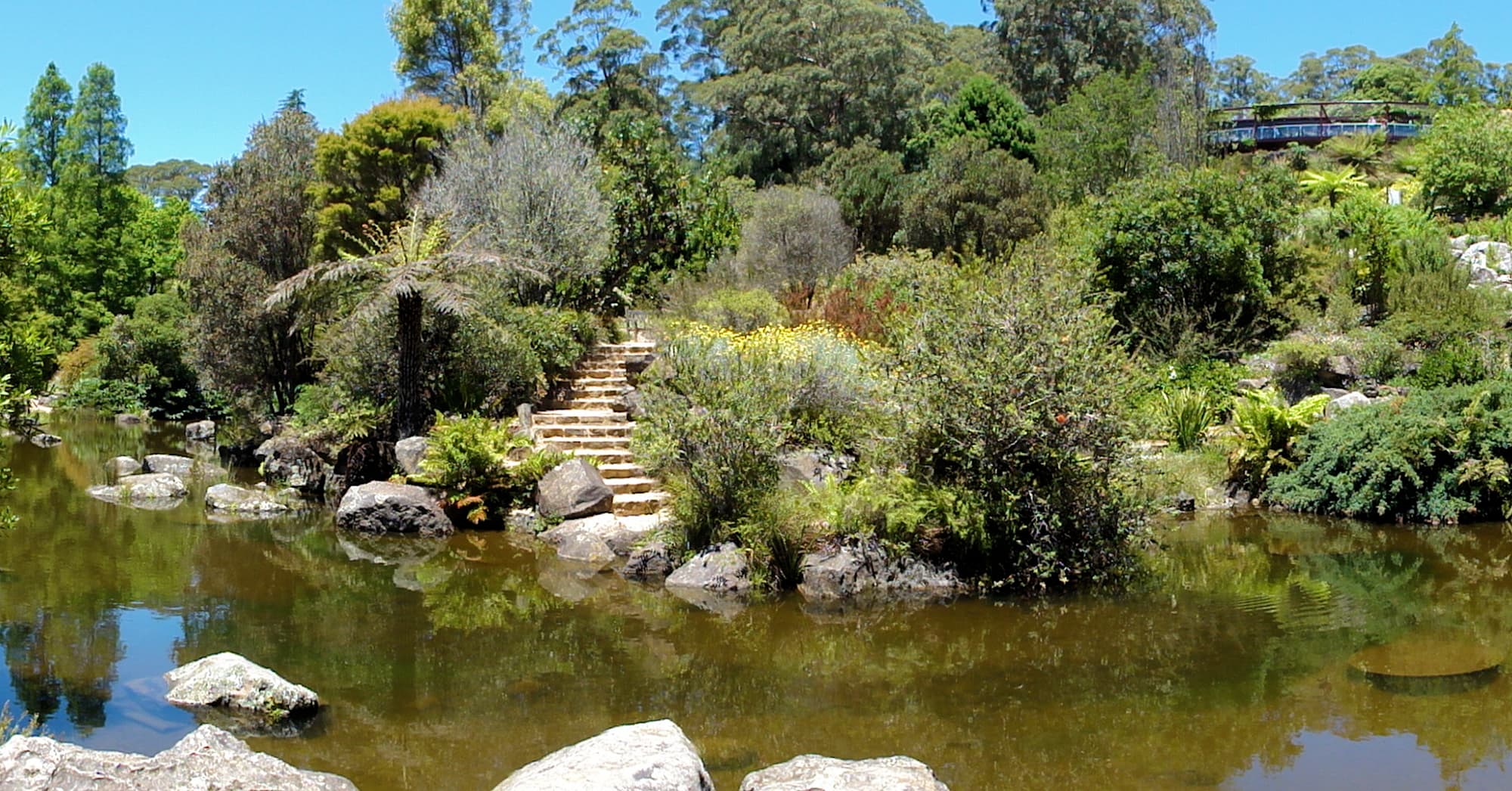 Blue Mountains Botanic Garden, NSW