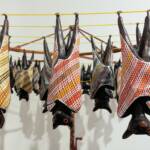 Fruit bats 1991, artist Lin Onus