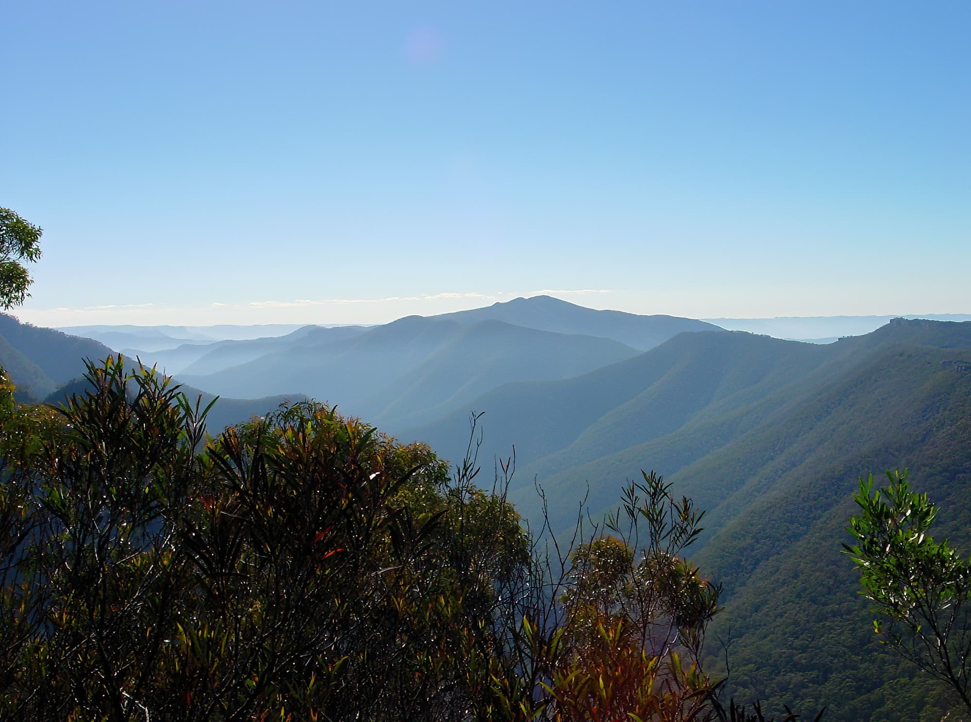 Kanangra-Boyd National Park NSW