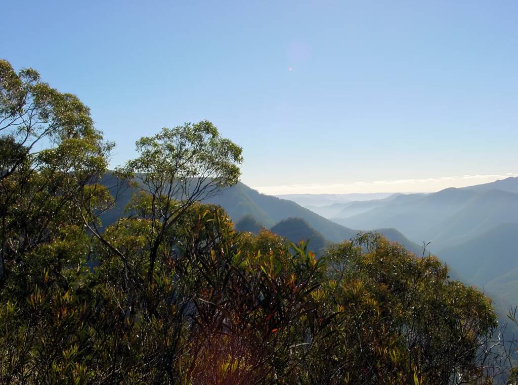 Kanangra-Boyd National Park NSW