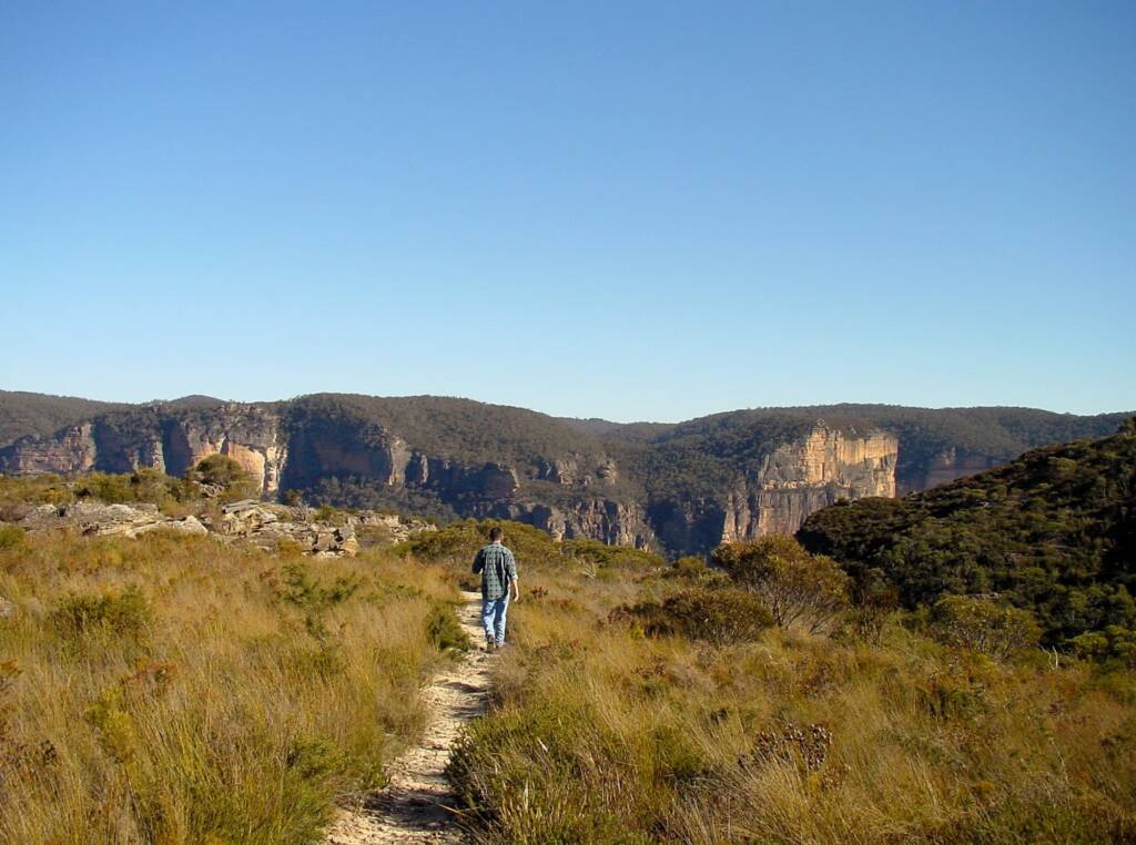 Pierces Pass Blue Gum Forest Walking Track, Blue Mountains NSW
