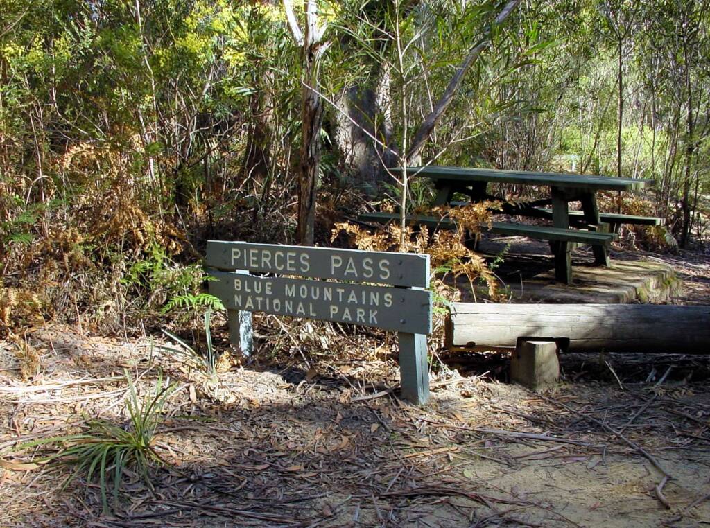 Pierces Pass, Blue Mountains National Park NSW