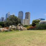 Royal Botanic Garden with Sydney skyline and sculpture Wurrungwuri (This Side Of The Water) by Chris Booth 2011