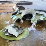 Tank Stream Fountain by sculptor Stephen Walker, Herald Square, Sydney NSW