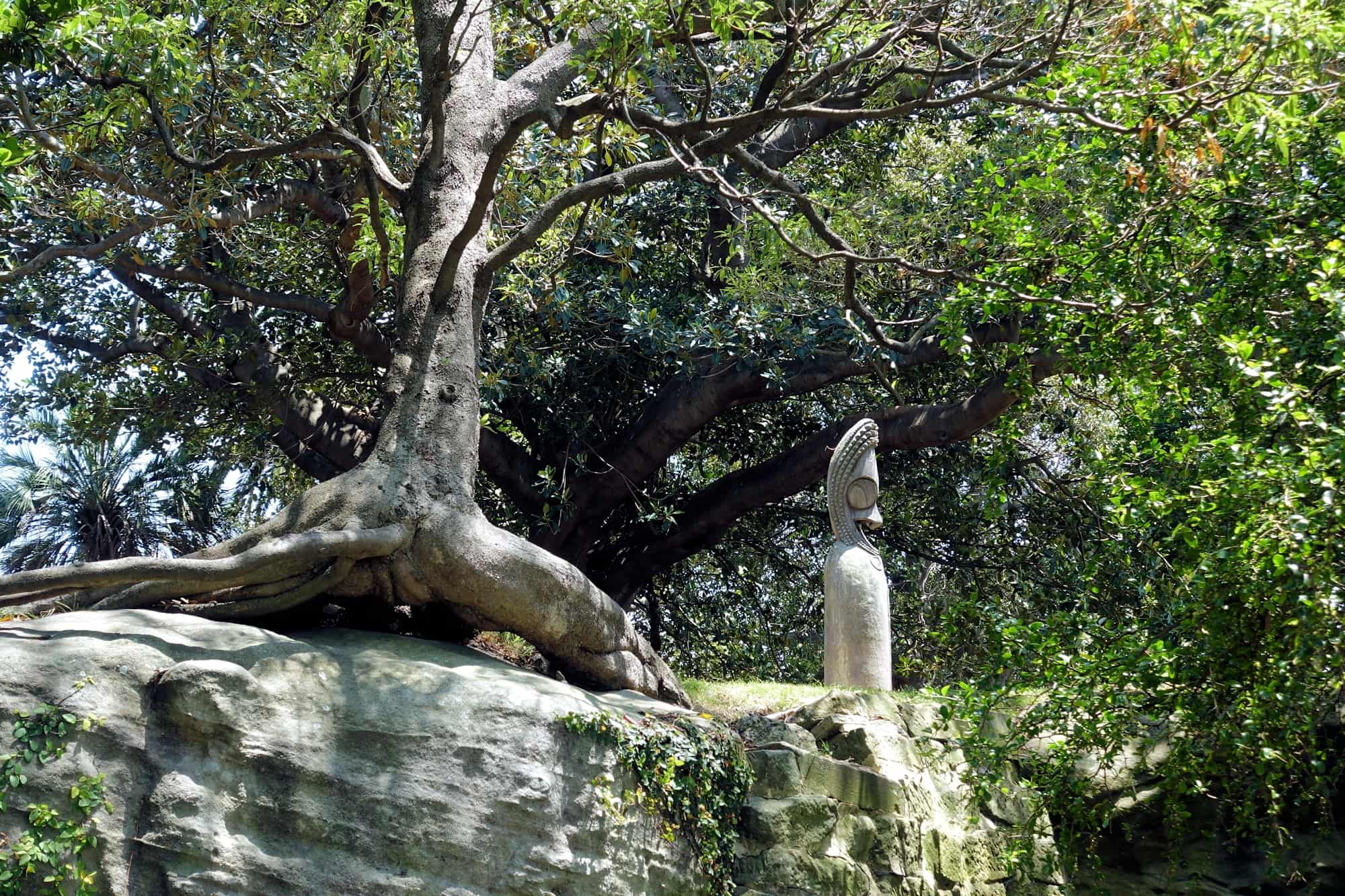 Vanuatu Slit Drum, 1992, Royal Botanic Garden Sydney NSW